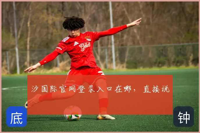 沙国际官网登录入口在哪，直接说